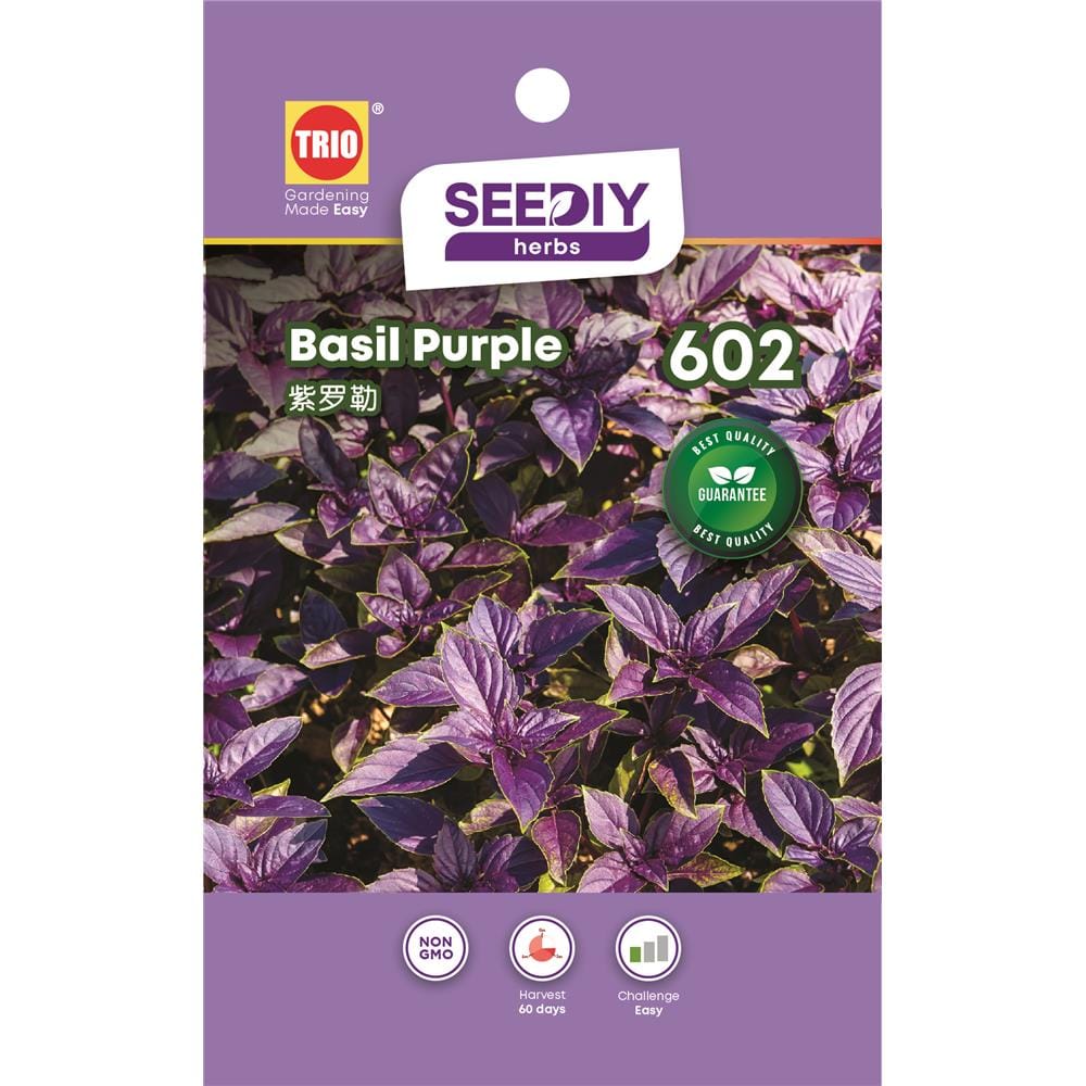 TRIO SY HERBS BASIL PURPLE 602