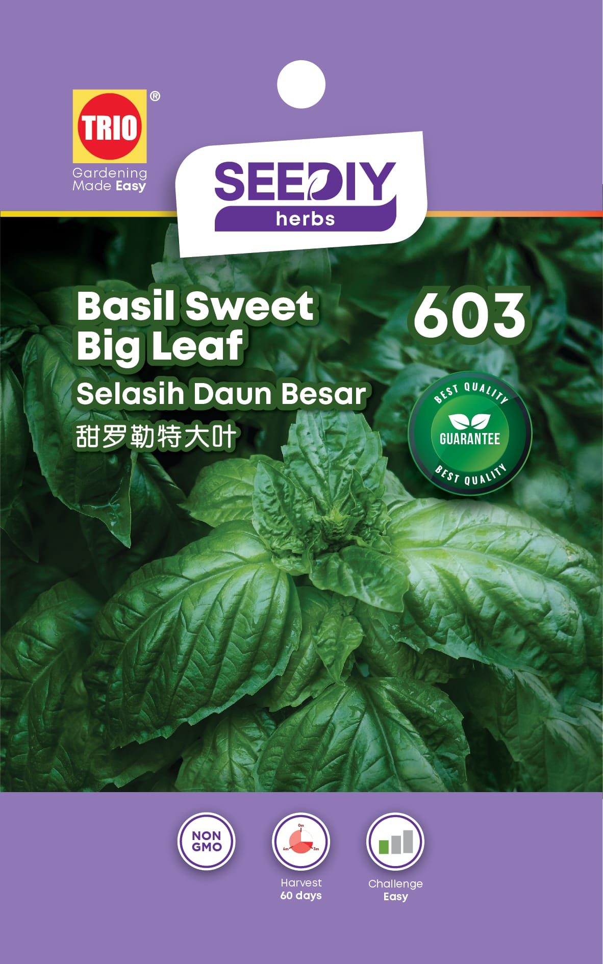 TRIO SY HERBS BASIL SWEET BIG LEAF 603