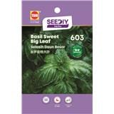 TRIO SY HERBS BASIL SWEET BIG LEAF 603