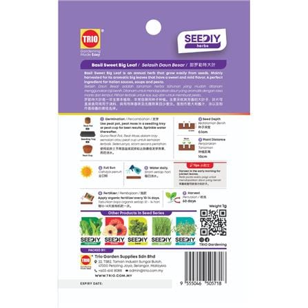 TRIO SY HERBS BASIL SWEET BIG LEAF 603