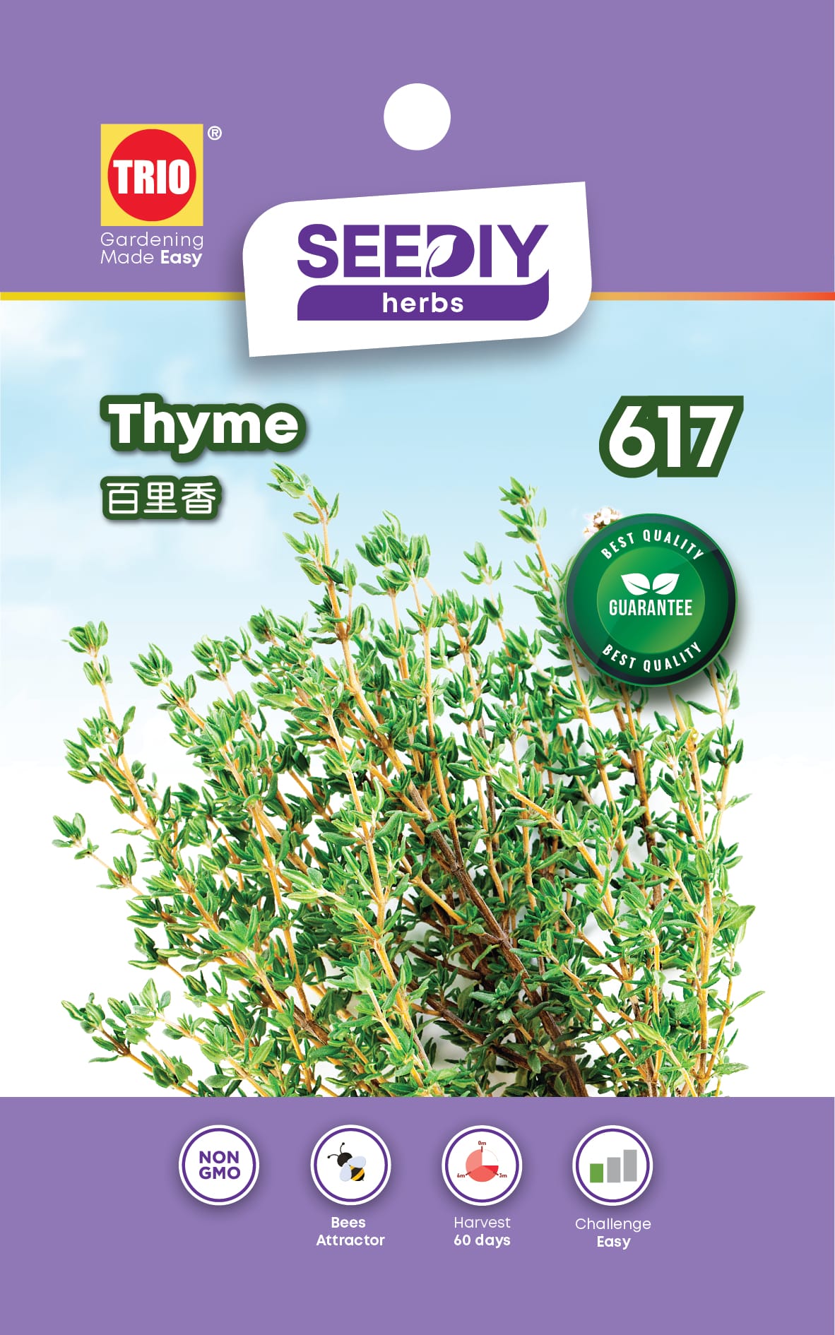 TRIO SY HERBS THYME 617