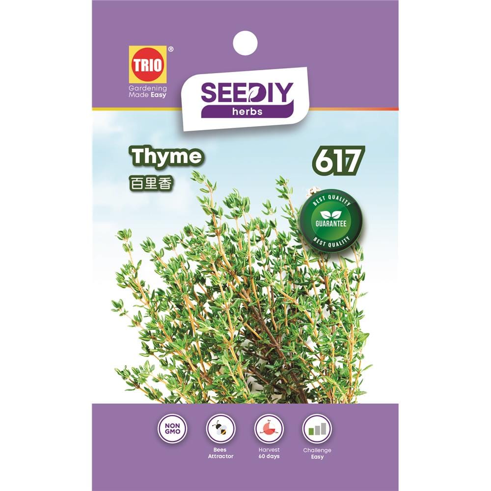 TRIO SY HERBS THYME 617