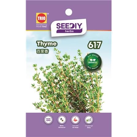 TRIO SY HERBS THYME 617