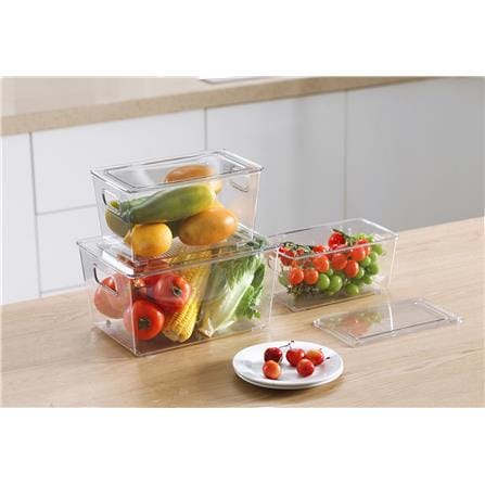 FRIDGE STORAGE WITH LID 21X29.5X15.5CM KECH