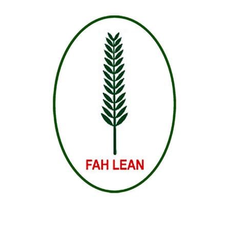 FAH LEAN FLOWER BUSH H55cm ARTIFICIAL FLOWER POT
