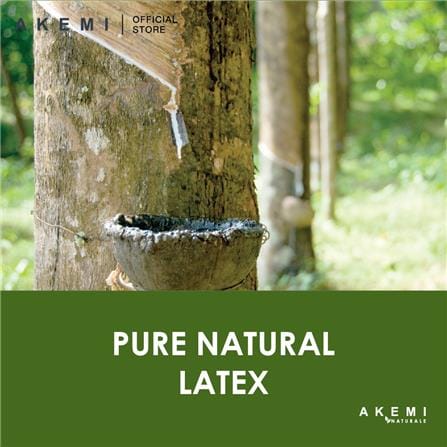 AKEMI NATURALE ORTHO VENTILATED LATEX PILLOW