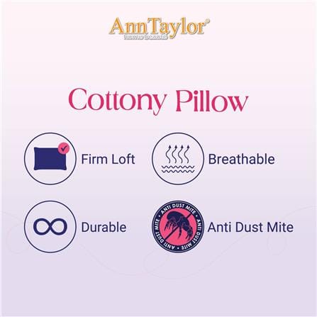 ANN TAYLOR COTTONY PILLOW