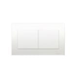 VIVACE TWIN GANG BLANK PLATE WE SCHNEIDER