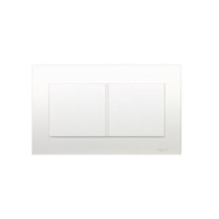 VIVACE TWIN GANG BLANK PLATE WE SCHNEIDER