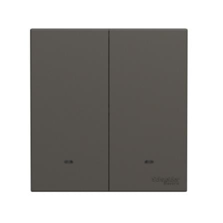 AVATARONC 2 GANG 2 WAY SWITCH DG SCHNEIDER