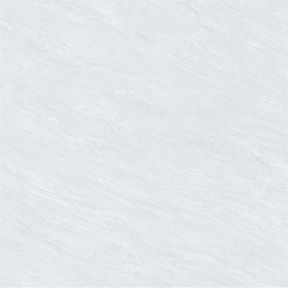 CITIGRES FLOORTILE MATT SURFACE 60X60CM LIGHT GREY CGM66081 1.44M2