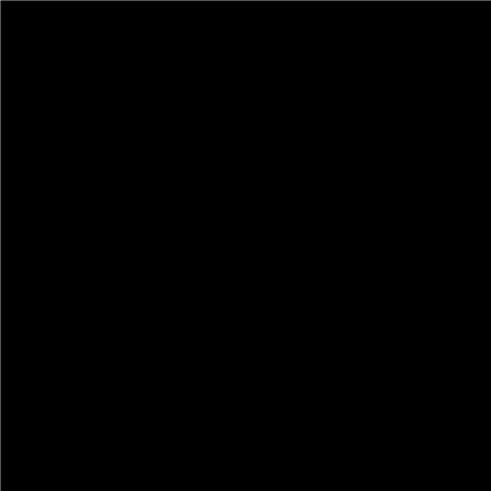 TARA FLOORTILE 60X60CM BLACK 1.44M2