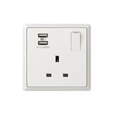 13A 1G SWITCH SOCKET WITH 2USB-WH INFINIT T&J
