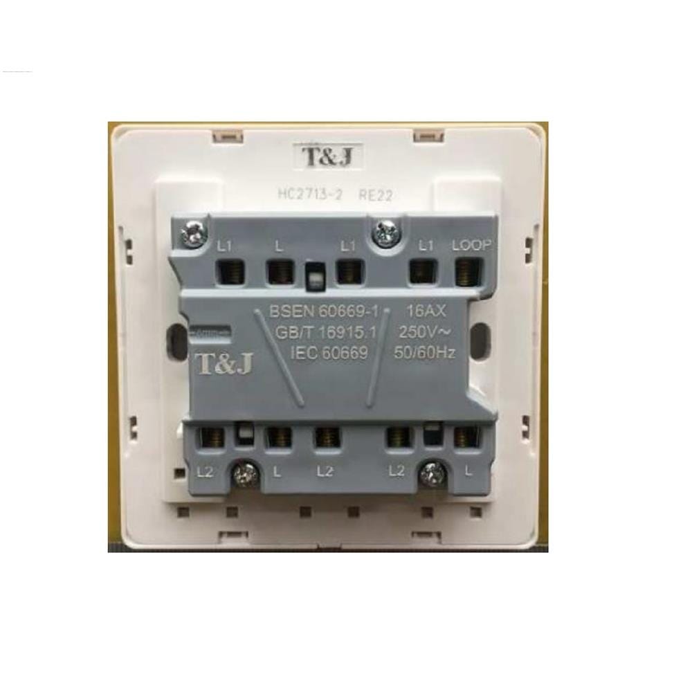 16A 3G 2W SWITCH HC2713-2-ST5 INFINIT T&J
