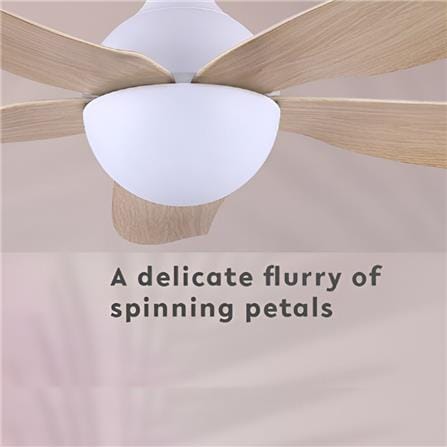 ALPHA CEILING FAN AX80 5BLADE MAPLE ABS 56"