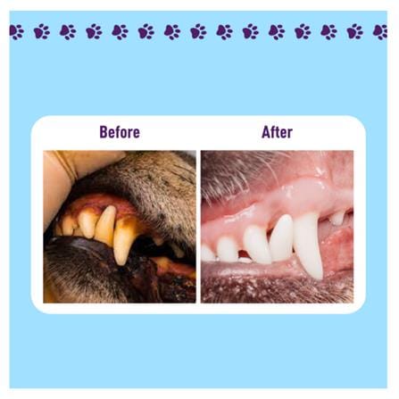 BIO-D PAWPAL PET DENTAL CARE WATER ADDITIVE SOLUTION 250ML