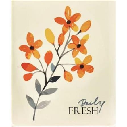 CANISTER 1.45L GARDEN SPRING KECH CREAM 11.7X11.7X14.2CM