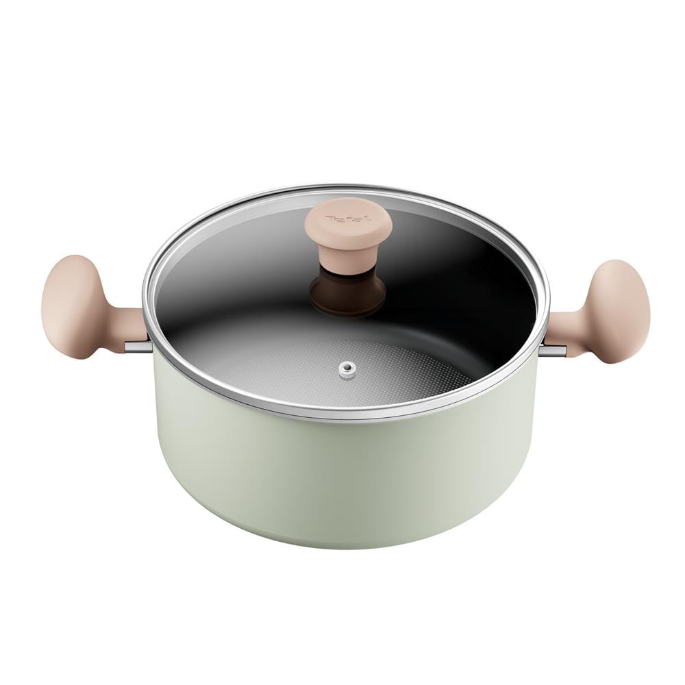 TEFAL SO MATCHA STEWPOT 24CM WITH GLASS LID -G17946