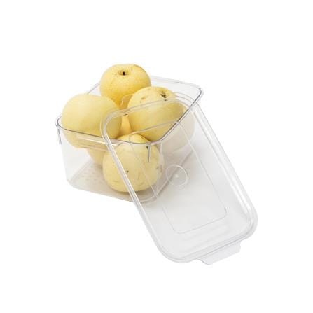 FRIDGE BOX WITH LID 15.5X23.6X10 SNOWY CLEAR