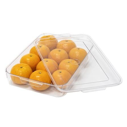 FRIDGE BOX WITH LID 21.5X33.5X5.5 SNOWY CLEAR