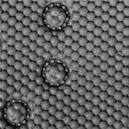 MOYA MAT FOAM YHC0005-GRAY
