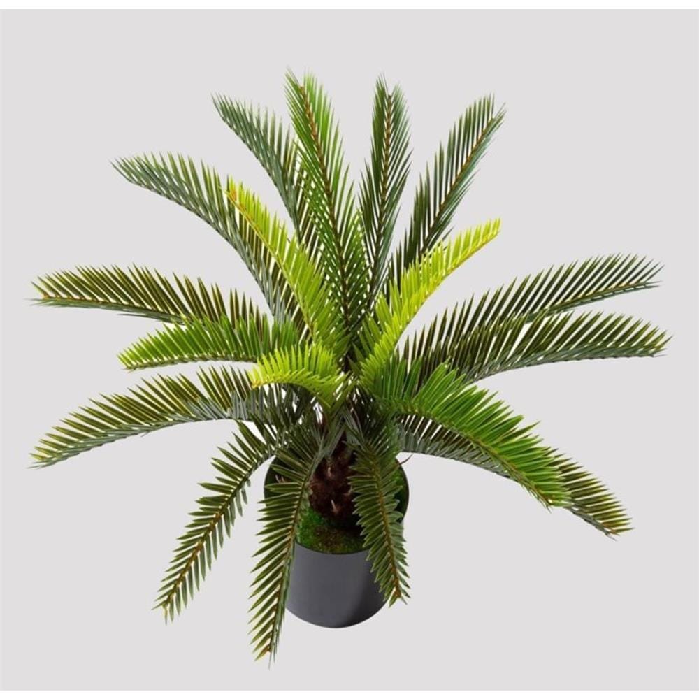 ARTIFICIAL POTTED CYCAS PLANT 50CM H