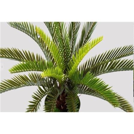 ARTIFICIAL POTTED CYCAS PLANT 50CM H