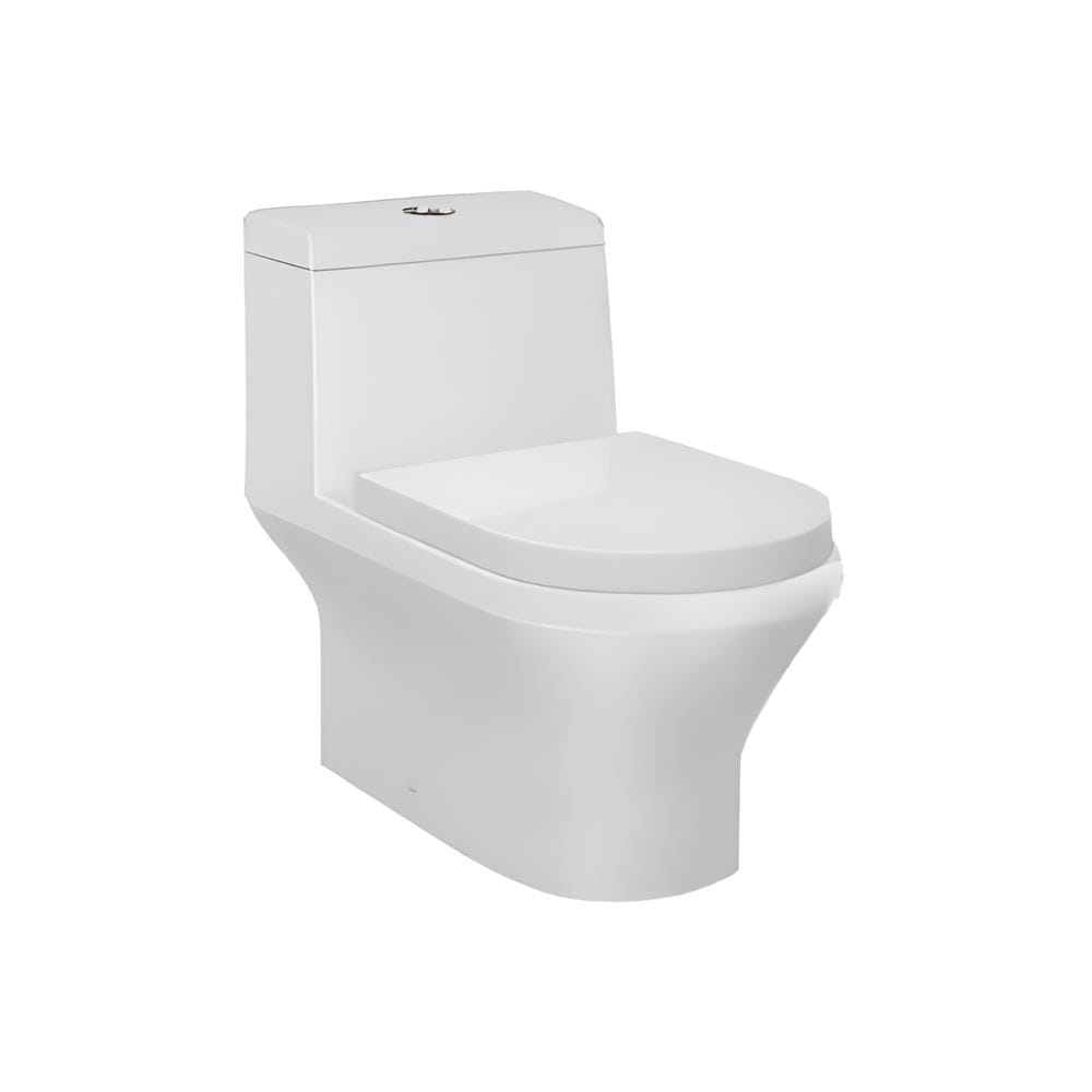 AKRON 1P TOILET WCO-83202-M 6/3L S-TRAP 250MM WHITE