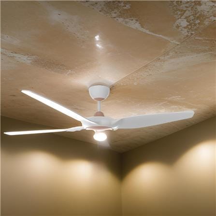 RUBINE CEILING FAN OSTRO 3BLADE CHAMPAGNE MATTE WHITE 60INCH