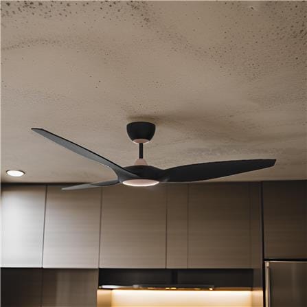 RUBINE CEILING FAN OSTRO 3BLADE CHAMPAGNE MATT BLACK 60INCH