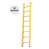 EVERLAST 20" FULL FIBREGLASS SINGLE LADDER (150kg) (SIRIM)