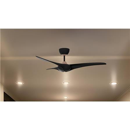 RUBINE CEILING FAN AIRI 3BLADE CHAMPAGNE MATT BLACK 52INCH