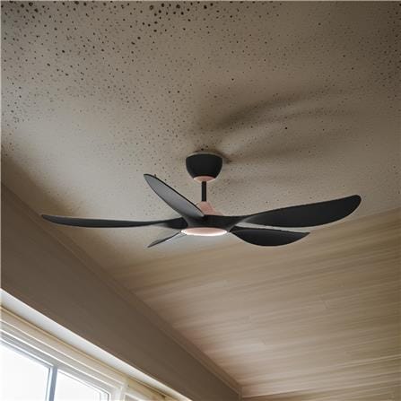 CEILING FAN RCF-AEROX56-5B-CMB RUBINE ABS  CHAMPAGNE MATT BLACK 56"
