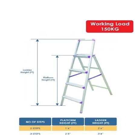 EVERLAST ELEGANT LADDER 4" RUNG (150kg) (SIRIM)