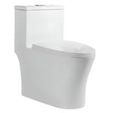 LIVINOX TOILET ONE-PIECE WATER CLOSET LWC-609-250 6/3L WHITE
