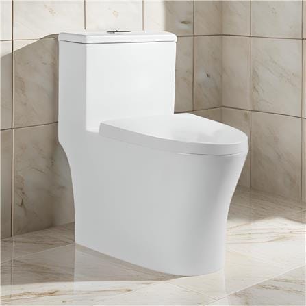 LIVINOX TOILET ONE-PIECE WATER CLOSET LWC-609-250 6/3L WHITE