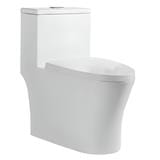 LIVINOX 1P TOILET WATER CLOSET LWC-609-200 S-TRAP WHITE