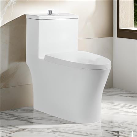 LIVINOX TOILET ONE-PIECE WATER CLOSET LWC-609-200 6/3L WHITE