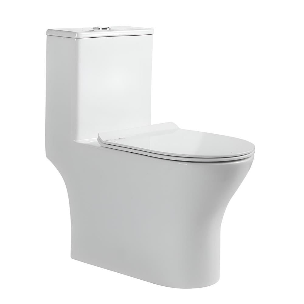 LIVINOX TOILET ONE-PIECE WATER CLOSET LWC-618-250 WHITE 6/3L