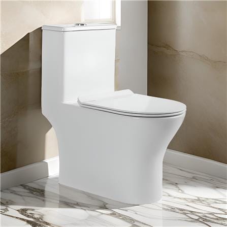 LIVINOX TOILET ONE-PIECE WATER CLOSET LWC-618-250 WHITE 6/3L