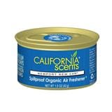CALIFORNIA SPILLPROOF AIR FRESHNER NEWPORT NEW CAR 42G