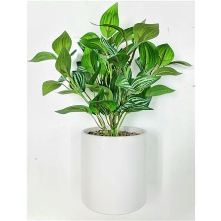 CL ARROWHEAD POTTED PLANT GP500