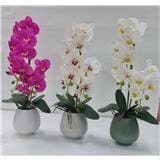 CL ARTIFICIAL ORCHID POTTED FLOWER GF302
