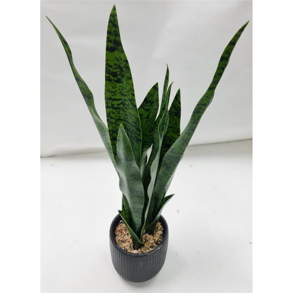 CL SNAKE  POTTED PLANT GP522