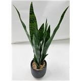 CL SNAKE  POTTED PLANT GP522