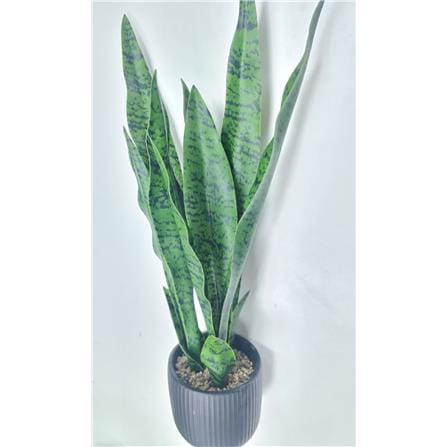 CL SNAKE  POTTED PLANT GP522