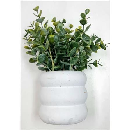 CL EUCALYPTUS  POTTED PLANT GP503