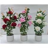 CL ROSE POTTED FLOWER GF300