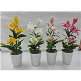 CL LILY POTTED FLOWER GF301