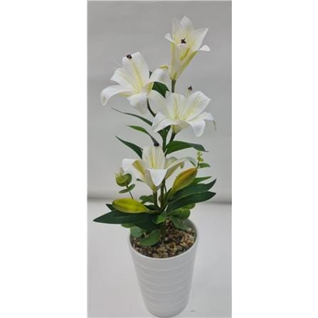 CL LILY POTTED FLOWER GF301